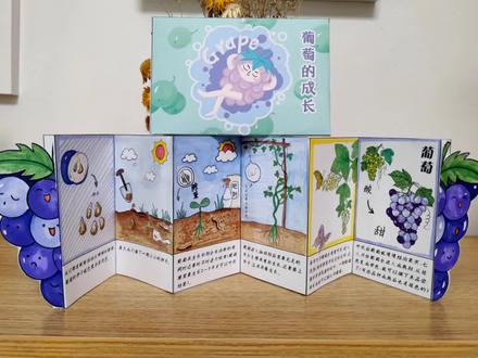 今天我们通过简单的涂色过程给大家介绍一下葡萄的成长吧
原创涂色小绘本,边涂边做涨知识#绘本 #手工diy #幼儿园手工 #葡萄 #成长