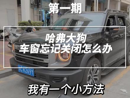 哈弗大狗车窗忘记关了怎么办?#哈弗大狗 #大玩具