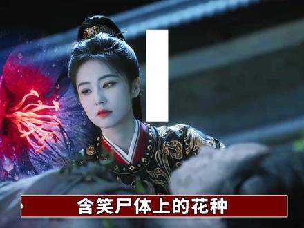 百媚生这个花名,居然藏着一条暗线?幕后黑手竟是淑妃?复盘《唐宫奇案》壁上花隐藏细节#白鹿 #王星越 #唐宫奇案