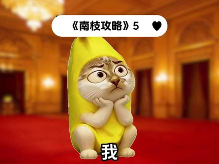 《南枝攻略》5#猫meme #猫meme故事 #搞笑#二次元