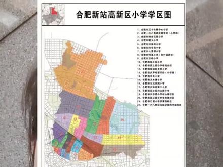 新站区的小学和初中,要怎么选?
#一六八新店花园学校 #七里塘#兴海苑 #学习 #新站寿春实验中学 #三十中 @DOU+小助手 @抖音小助手