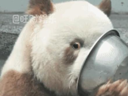 乔海伦 最惨牛马2+1#乔海伦 #夜色正浓 #阚清子 #佟大为