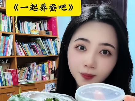 一起养蚕吧 三年级科学作业不用愁,蚕宝宝套装一步到位!#养蚕日记#小学生科学作业#蚕宝宝饲养#亲子手工
