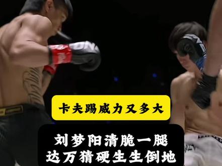 不怕千招会,就怕一招精,刘梦阳这一记卡夫踢怎么样?#刘梦阳