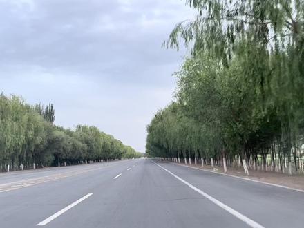 此视频仅供参考 请以实操培训为准 #科目三永宁考场