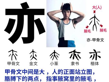 亦 #说文解字 #传统文化 #天大地大人亦大 两边都有腋毛