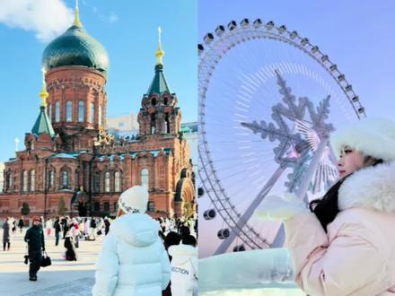 咱石家庄出发哈尔滨五日游 来啦 #哈尔滨旅游 #石家庄出发 #冰雪大世界 @DOU+上热门