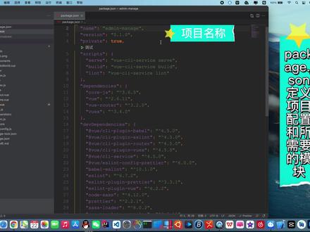基于npm或cnpm安装依赖并启动Vue项目 #我要学编程