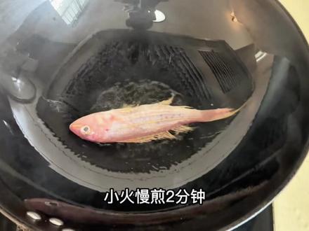 煎鱼教学 铁锅煎鱼不粘锅不破皮详细教程 新手煎鱼教程#煎鱼 #煎鱼不粘锅不破皮 #金线鱼 #香煎红杉鱼
