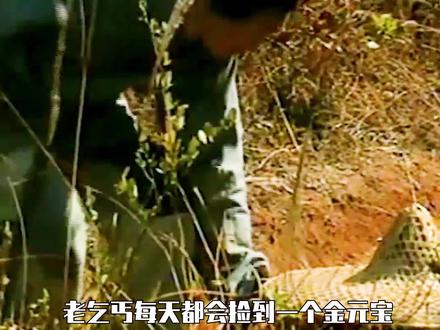 老乞丐,每天都会捡到一个金元宝,可是他却从不带走