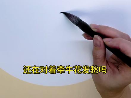 小白也能看会的写意牵牛花教程来了#画画其实很简单 #美术老师 #国画教程 #每日一画