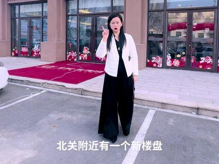 梁山老城区龙城玫瑰园马上开盘,别墅🏠160-230法式风格,小高层120-136平方,户型南北通透,户型南北通透15588725007找我团购价