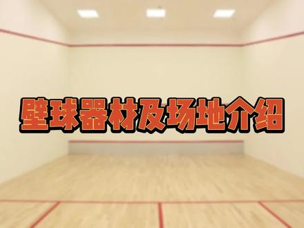 一分钟认识壁球器材及场地#壁球 @SINO群跃体育