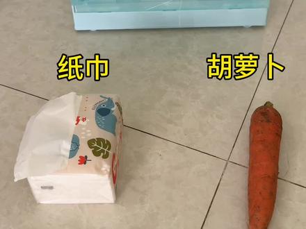 胡萝卜纸巾收纳盒真棒!!! #萝卜纸巾猫咪#生活小技巧#抽象