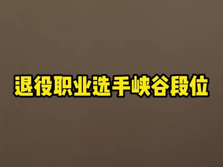 职业选手的峡谷段位