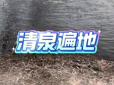 古泉苏醒 2025年12月,郑州惊现现象级#生态异象 !多处尘封已久的#泉眼集体复涌 !
这是如专家所说是生态复苏,还是某种#未解之谜 ?#自然力量 #大地换新