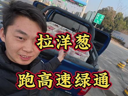 今天不修车,拉一车洋葱绿通出去玩,看到一百多w的皮卡车也拉大白菜过绿通,嘻嘻嘻#绿通#皮卡#长城炮