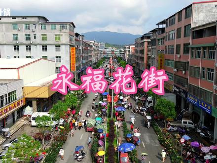 永福花乡,永福圩日花市#热闹的一条街 #永福花乡 #无人机航拍