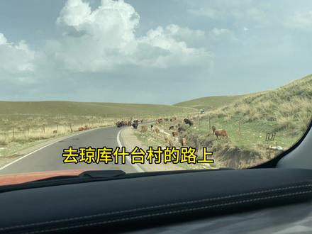 我们从伊宁出发去琼库什台
因为夏塔古道需要徒步
所以放弃了这个景点
直接去琼库什台村的路上路过了特克斯
去吃了拌面
下午六点半出发
九点到了琼库什台村
找到了一个小溪边先露营安顿下来
马上吃晚饭早点睡觉
#新疆自驾 #伊利环线 #琼库什台露营 #琼库什台大草原