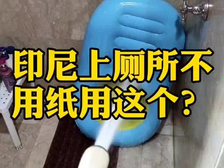 #海外生活 #vlog日常 #印尼 人上完厕所不用纸?