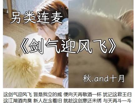聆听吧~时间有点长~#剑气迎风飞#喊麦无声卡 @秋🍂.