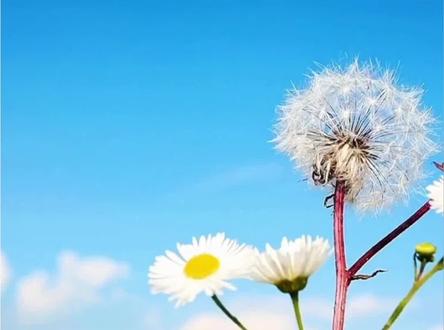 汽水音乐太戳我了#汽水音乐 #emo #gentleman