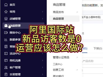 阿里国际站新品访客数是0? 新品访客数是0?运营应该怎么做 #阿里巴巴国际站运营技巧 #阿里巴巴国际站 #跨境电商运营 #外贸 #国际站运营