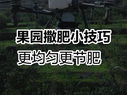 果园撒肥小技巧——拆除甩盘,播撒更均匀更节肥#新农人新天地 #大疆T55 #安全飞行安心回家