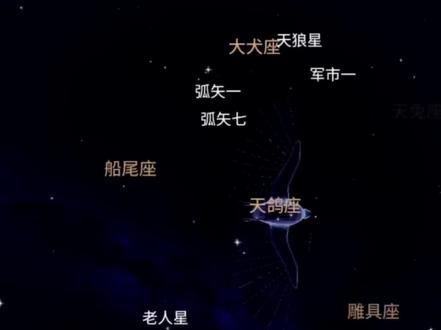 从此广袤无垠的宇宙中有了33颗属于我们的星星✨#爱情伟大