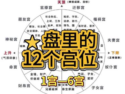 适合新手小白学习的⭐盘视频,12宫位讲解
#星盘 #占星 #占星教学 #宫位 #星座