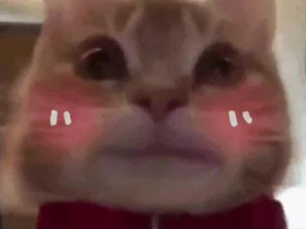 如何抢到高价小马糕,有不足的地方欢迎补充~#热门 #王者荣耀小马糕#高价小马糕#拒绝废话