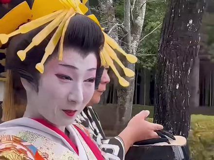 花魁到底是做什么的? #纪录片 #花魁 #日本生活