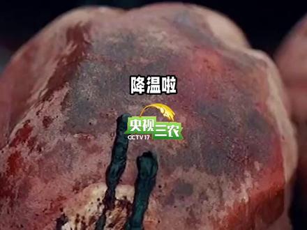 红薯、白薯、紫薯、马铃薯,谁营养价值更高?#科普 #红薯 #低卡零食