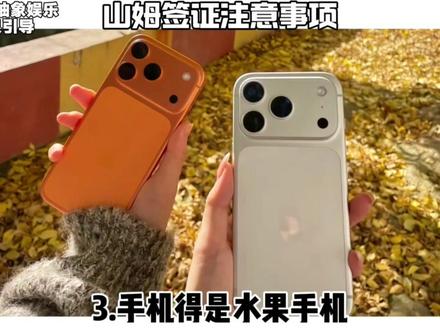 申请山姆签证的注意事项(内容纯属抽象娱乐,大家不要当真)#山姆会员店 #山姆 #抽象 #娱乐