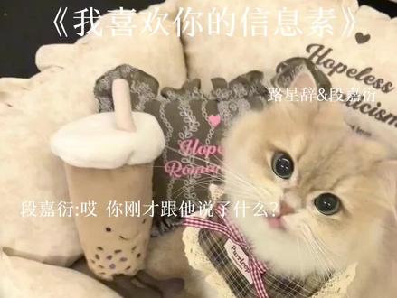 小段叫路爸爸的时候好搞笑哈哈哈#我喜欢你的信息素#段嘉衍#路星辞 #星衍