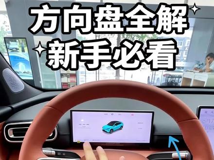 #风云T9L