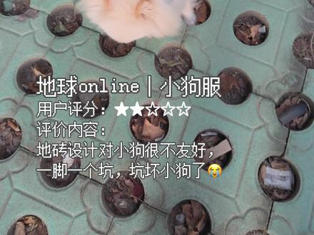 地球online(小狗服),小狗给出差评!#萌宠出道计划 #世界破烂小狗可可爱爱 #小狗 #小狗狗能有什么坏心思