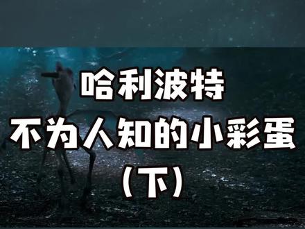 #哈利波特 #彩蛋 电影中那些不为人知的小彩蛋,你发现了吗?