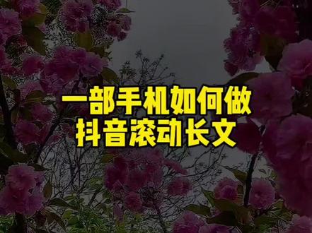一部手机如何做抖音长文章 三十秒教会你#抖音滚动长文 #知识分享 #每天进步一点