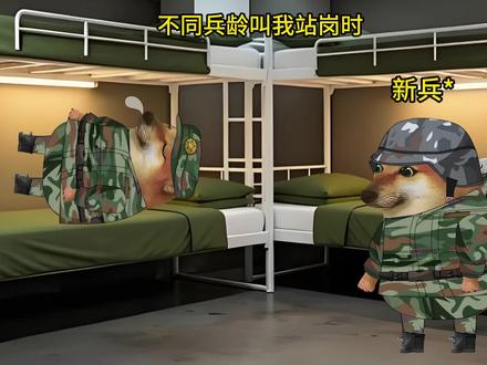 当不同兵龄叫我接岗时 (原声大大@潘英俊 )#部队那些事 #军旅 #cheems #cheems小剧场 #接岗
