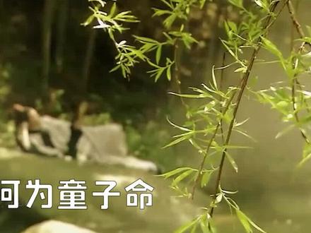 仙缘在身 命途坎坷,童子命有何不同#历史 #神话 #童子命 #神仙