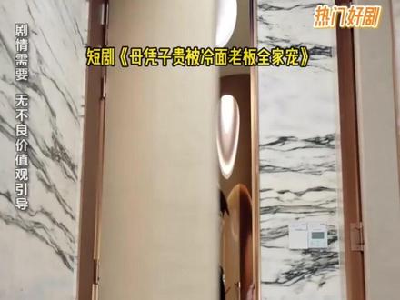 母凭子贵,被冷面总裁宠上天