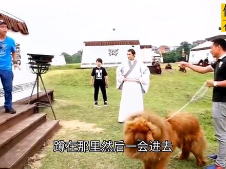 琅琊榜佛牙花絮和导演解释为什么正片中没有佛牙的原因 #胡歌 #琅琊榜