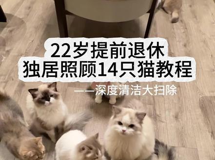 背着我妈养了14只猫,家庭大扫除 #多猫家庭 #卡赫一下 #德国蒸汽清洁机 #卡赫擦玻璃 #大扫除