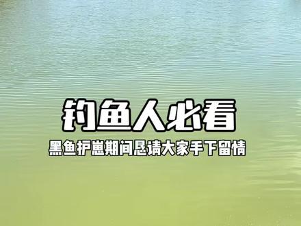 护崽期的黑鱼恳请钓鱼人手下留情 #黑鱼护崽 #钓鱼人必看#钓鱼那些事 #钓鱼佬