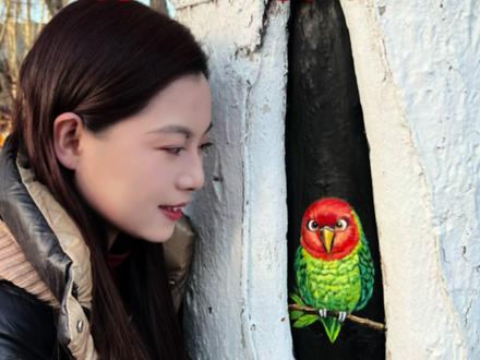 城市需要风景,更需要懂得为彼此添一笔温柔的人#画画 #街头艺术 #鹦鹉 #治愈 #正能量