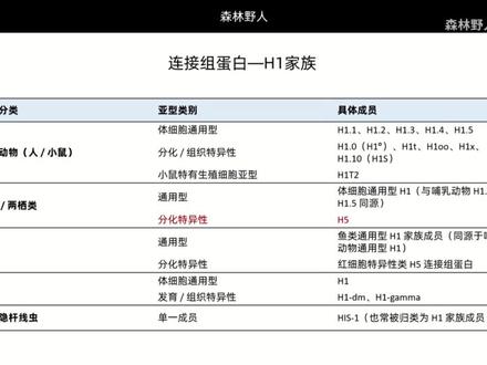科研扫盲系列之4min认识核小体 #核小体 #基因组 #基因组学 #科研小白