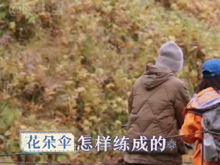 小胡:我要,这雨伞有何用#胡先煦 #综艺 #花少5