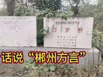“郴州方言”也就是郴州话,属于西南官话语系。由于地处湖南与广东交界,自古就人口流动频繁,所以深受西南官话影响。不过,出了城又说各的话了。#郴州 #郴州美食 #郴州旅游 #郴州郴州大郴州