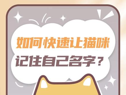 4步快速让猫咪记住自己名字,猫咪随叫随到不是梦!#猫咪 #萌宠 #抖in萌宠计划 #新手养猫 #养猫日常 @抖音萌宠